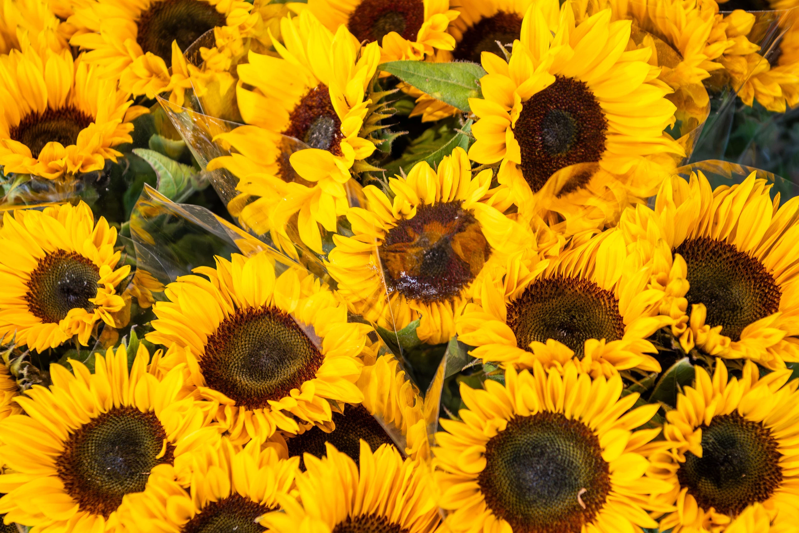 Proces optimalisatie